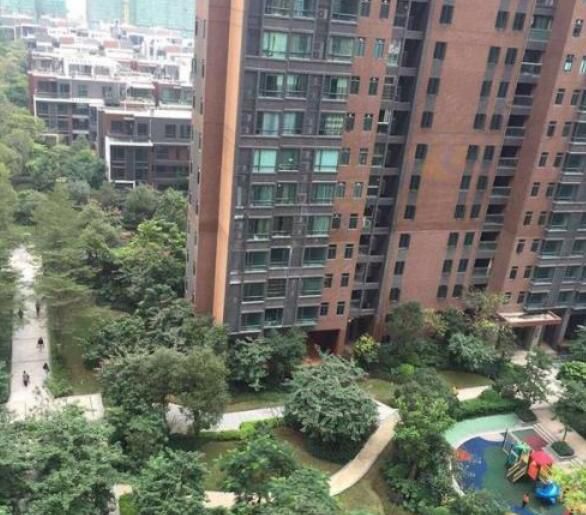 肇庆林隐天下
